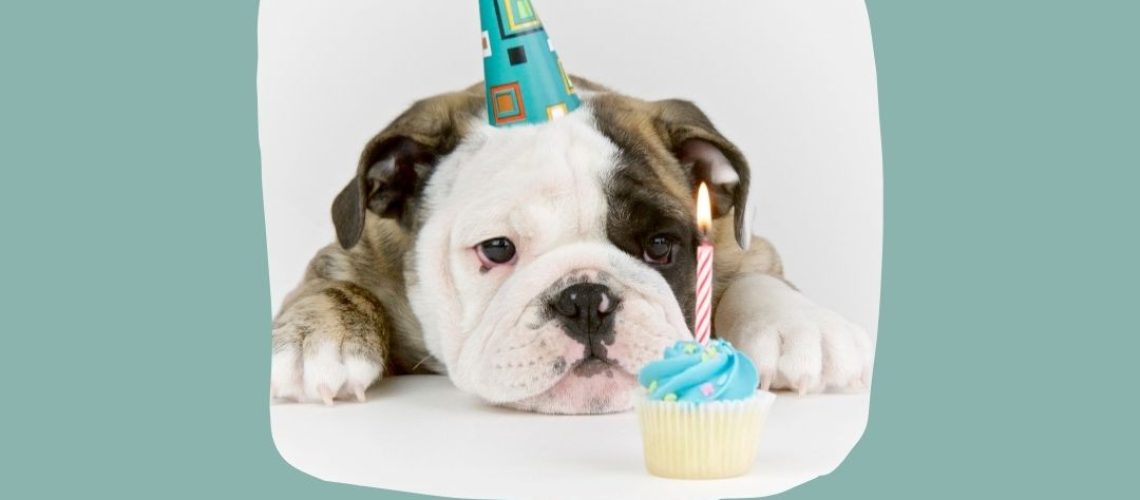 האם יומולדת היא חגיגה?